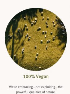 100% vegan