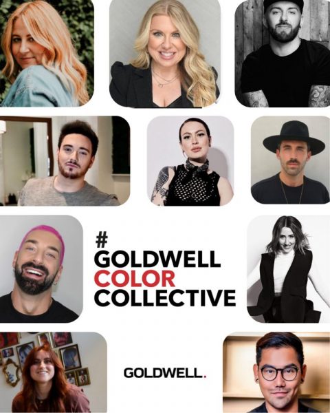 Goldwell color collective