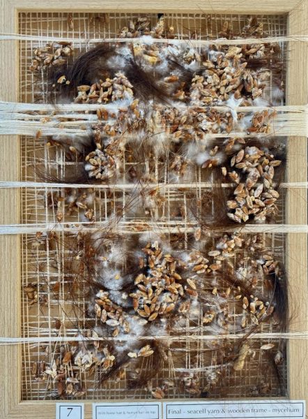 Green Salon Collective - can human hair grow mushrooms