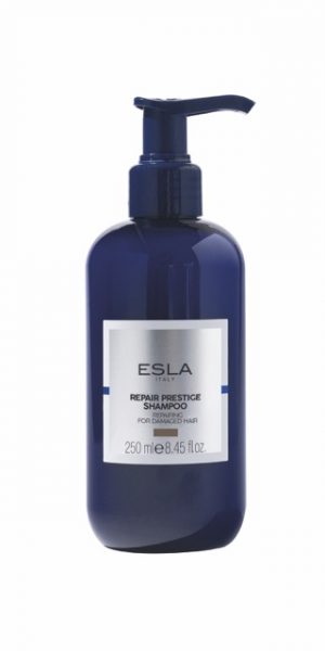 Elsa introduces Repair Prestige