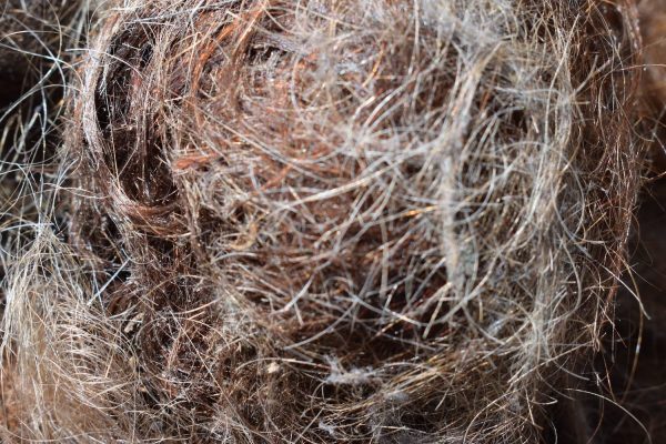 The 1st - 5th September is Zero Waste Week and we've got some learnings through from our friends at Green Salon Collective, t