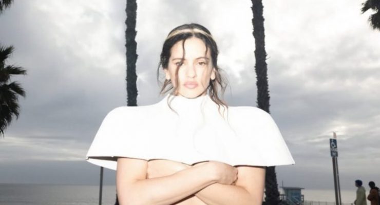 Rosalia Halo hair application made easy!