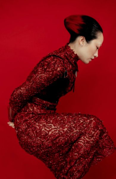 Red Elegance by Anne Veck