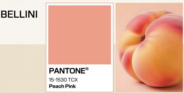 Bellini Goldwell color of the year